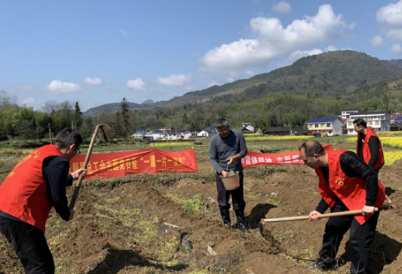 永顺县总工会：深入田间地头 助农粮食生产