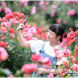 初夏“花经济”