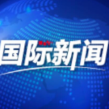 俄战机在波罗的海上空对德法巡逻机实施伴飞