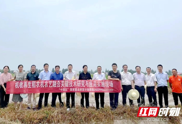国省水稻产业技术体系岗站专家联手“问稻”洞庭