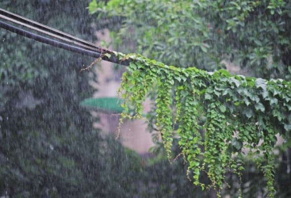 湖南的雨，霸蛮