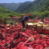 打好安全生产翻身仗丨湖南曝光10起打非治违典型案例，最高罚款14万！