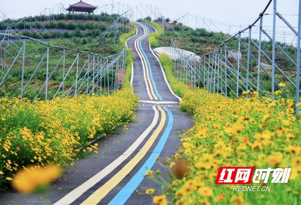 乡村振兴丨闲暇去望城赏一幅“农业强、农村美、农民富”的实景画卷