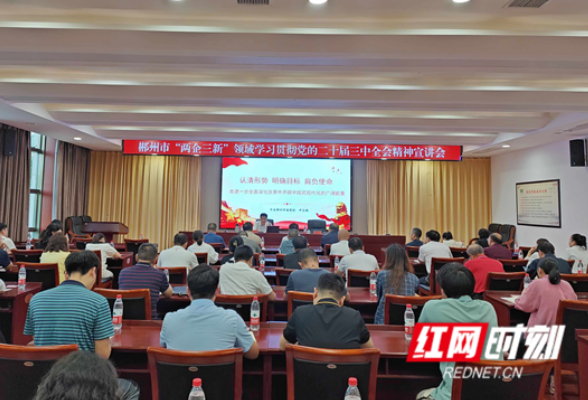 郴州市举办“两企三新”领域学习贯彻党的二十届三中全会精神宣讲会