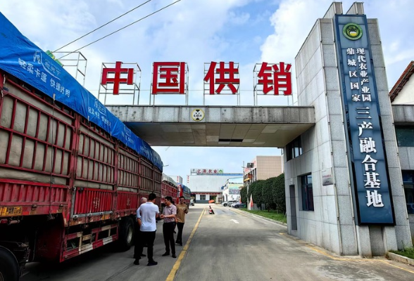 半月谈丨再造一个为农服务大平台 供销合作系统“强基强能”见闻录