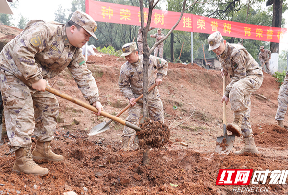 衡阳警备区：种下荣誉树 争当排头兵