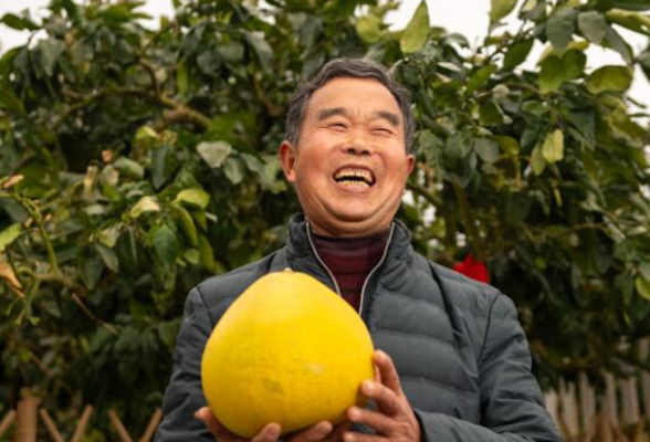 我在现场·向总书记报告丨菖蒲塘村：一个柚子剥开亿元产业