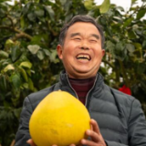 我在现场·向总书记报告丨菖蒲塘村：一个柚子剥开亿元产业