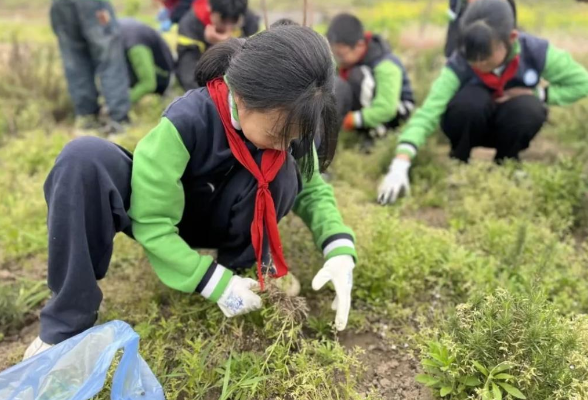 上好劳动课，还差哪几步？劳动教育新课标实施两年效果观察