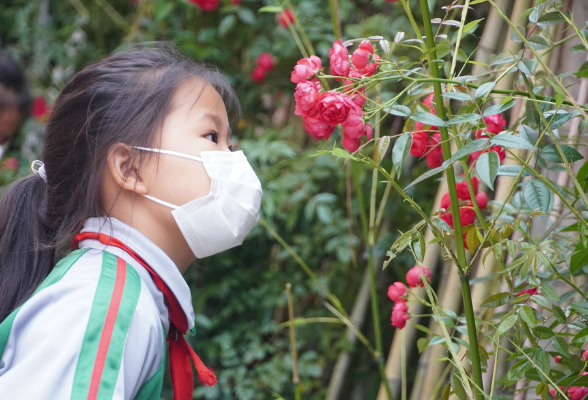 长沙一小学开设“植物治疗室” 学生和花草对话减压