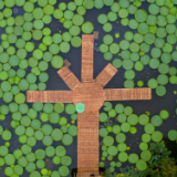 高质量发展调研行丨一叶真能当舟