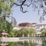 拉萨文旅上半年成绩亮眼