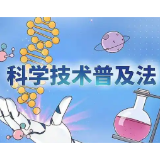 科普法如何助力高层次科普人才培养？三部门相关负责人就新修订的科学技术普及法答记者问