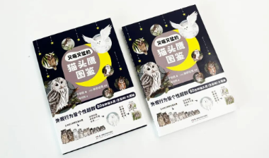 《又萌又猛的猫头鹰图鉴》|“夜猫子”不再只是个比喻