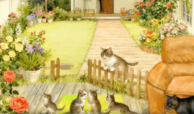 中南探书局⑥｜《庭院里的小客人》：开启一场童心探秘，在方寸庭院里读懂万物共生的自然课堂