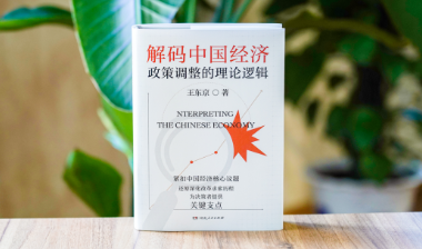 新书速递丨王东京20余年思想精华！一部理解中国经济的答案之书