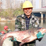 以鱼为媒，情满元旦 长沙民政职业技术学院第三届捕鱼节暖心开启