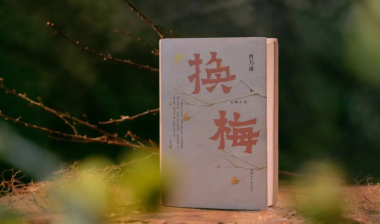 新书速递｜《换梅》：“凡是欺负过我的人，她都打，而且还是从来都没有输过，有打必胜。”