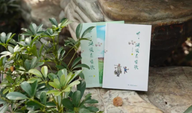 书评丨《听，蝴蝶在唱歌》：以双重视角回望乡村童年
