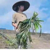 合拍的00后丨湘大学子在村里体验喂鱼的日常