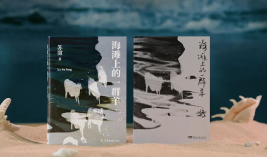 新书速递｜苏童《海滩上的一群羊》：面对生活之海，我们都是孤独的泅渡者