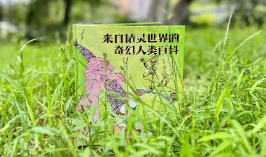 新书速递｜《来自精灵世界的奇幻人类百科》：化作神奇小精灵，探访人类大奥秘！