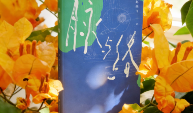 《脉与络》：当人生的去处变成来处，当最初的来处成为最后的去处