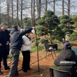 政校企共育“新农人” 长沙商贸旅游职院直播助农激活苗木产业新动能