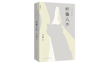 荐书丨好猫八不：王朔温暖之作