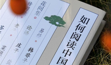 书摘丨别让“诗选”偷走你的审美判断力