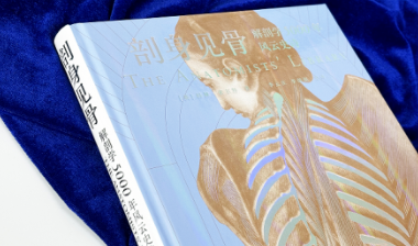 达·芬奇，不止是艺术家：他曾在解剖台上追寻生命的真相