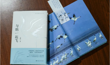 书评丨《与鹤一起飞》：书写人与鹤的精神同频