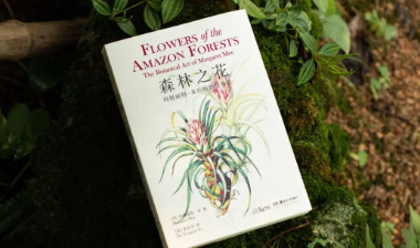 一支画笔，一把手枪，女植物学家的亚马孙32年