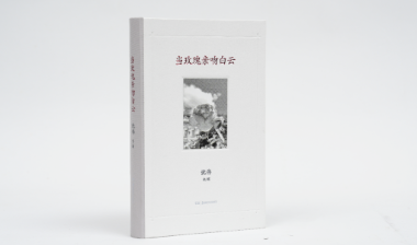 新书《当玫瑰亲吻白云》：在奥运《画卷》和《舞蹈风暴》之外的沈伟
