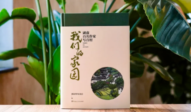 书香驿站｜石上桃坪界：界上古村，石载春秋