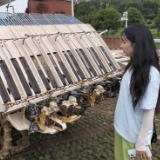 科技赋能田间地头 湖南一师学子调研春华镇智慧农业建设