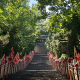 青春“三下乡”|踏遍青山守初心,深耕二酉护林荫