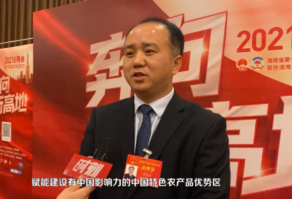 视频 | 湖南“一核两副”如何发力？省人大代表来支招！