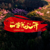 《湖南·四季花儿开》 | 民歌新唱AI音乐视频