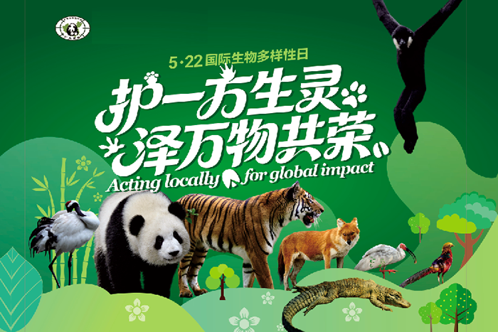 微信图片_20260521142741_542_87.png