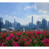 时政现场说丨牢记总书记嘱托 续写春天的故事