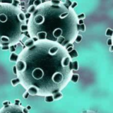 科普：变异新冠病毒是原始病毒的“升级版”吗