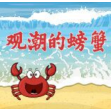 观察丨维护国际秩序的中国力量，他们是世界和平的英雄