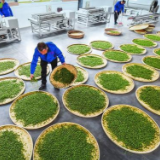 @蒙古国，“鄂”请你喝茶了！
