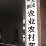 农业农村部：严打生猪屠宰违法行为，保障节日猪肉消费安全