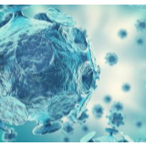 4月21日湖南无新增确诊病例 无新增无症状感染者