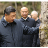海外网评：不到一个月，习近平连续考察生态有何深意