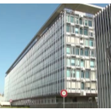 第73届世界卫生大会即将召开 国际专家呼吁合作抗击疫情