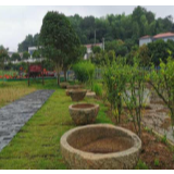 守护好一江碧水丨长沙县：疏通河湖“毛细血管” 打造秀美水生态