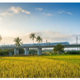 交通“聚能”为海南自由贸易港建设添动力